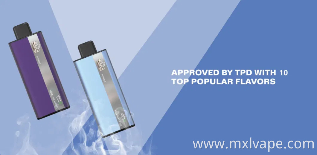 Wholesale Alibaba Bang Pi 10000 Puff Disposable E Cigarettes Vape 0.8ohm Mesh Coil 15ml Pod Electric Shisha Price Electronic CIGS Puffs 9000 0% 2% 3% 5%